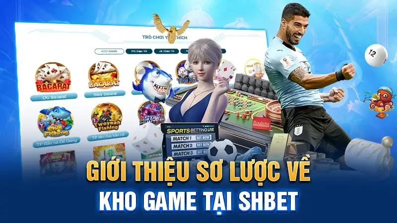 Hệ sinh thái giải trí đa dạng và chất lượng tại SHBET800